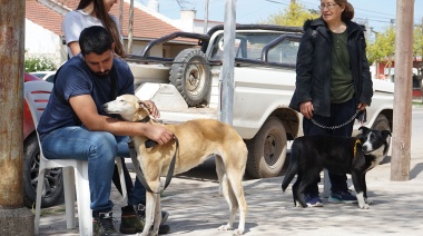 La campaña antirrábica llega a la Delegación Municipal de Quequén