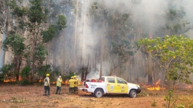El Gobierno aseguró que están los medios para combatir el fuego y acusó a grupos "seudomapuches"