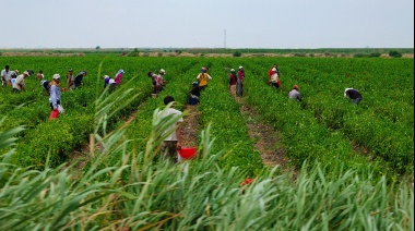 El Gobierno busca restablecer un vínculo positivo con el campo mediante anuncios claves para el sector