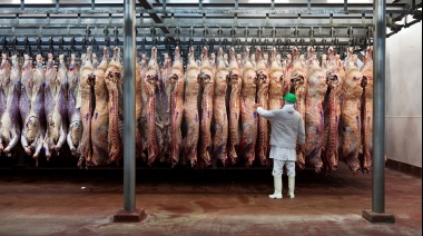 Las exportaciones de carne vacuna alcanzaron la cifra más alta de los últimos 57 años