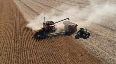 El Gobierno publicó el detalle de la baja de las retenciones para el campo