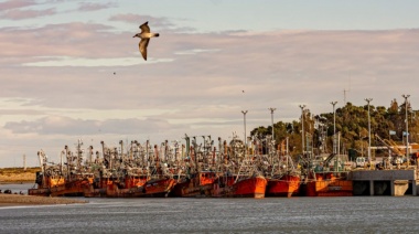 El sector pesquero cuestionó al Gobierno de Milei por dejarlos afuera de la rebaja de retenciones