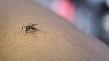 Se confirmaron los dos primeros casos importados de Dengue en Necochea