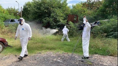 Descubrieron poblaciones de mosquitos resistentes a los insecticidas