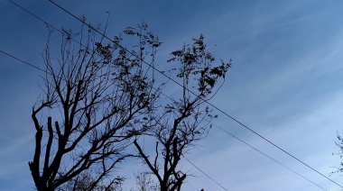 Se renueva el alerta del SMN por fuertes vientos en Necochea