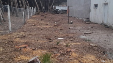 Guardaparques infraccionó al Club Villa Díaz Vélez por la tala indiscriminada de árboles