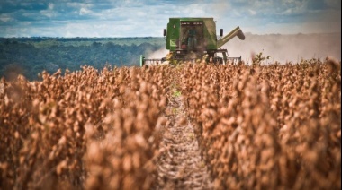 Productor sojero asegura que el 41% de la cosecha se usará para pagar alquileres