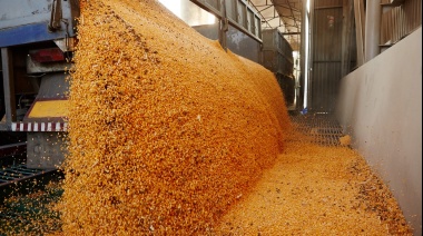 El campo liquidó US$ 1.600 millones en las primeras semanas del nuevo dólar soja