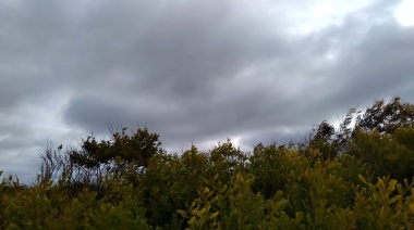 Alerta amarilla por tormentas de variada intensidad para el distrito de Necochea