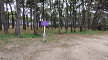 Vandalizaron los carteles del Sendero de Hongos en pleno Parque Miguel Lillo