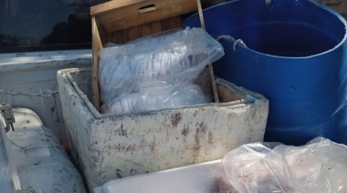 Bromatología refuerza operativos para controlar mercadería comercializada en el distrito