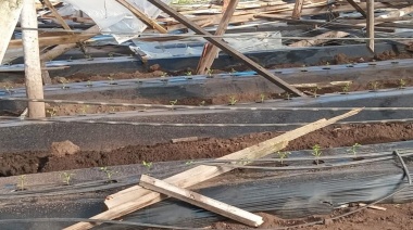 Con la tormenta del martes, un tornado provocó pérdidas millonarias en campos de la zona