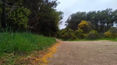 Anuncian lluvias hasta el sábado y un domingo con mejorías