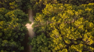 Habrá cortes en el Parque Miguel Lillo por la realización de un Duatlón