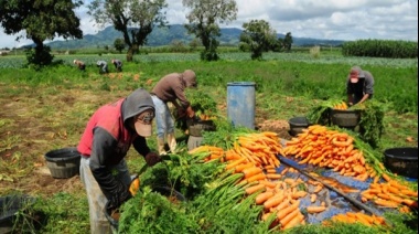 La importación de alimentos creció 61% interanual en noviembre