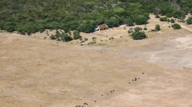 Declararon la emergencia agropecuaria en cuatro departamentos santafesinos