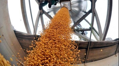 Con un tipo de cambio a $300, el Gobierno oficializó el dólar agro