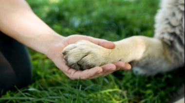 Necochea tendrá una jornada sobre "Políticas públicas en Derecho Animal"