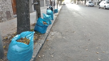 Realizan operativos diurnos y nocturnos con la barredora y cuadrillas de limpieza
