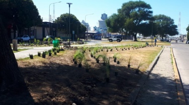 La nueva plaza del Barrio Puerto quedó forestada y faltan detalles para su inauguración