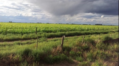 Cómo afectará al territorio nacional el fenómeno de El Niño