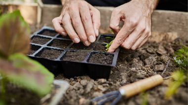 El municipio dictará talleres sobre Manejo de Huerta con enfoque agroecológico