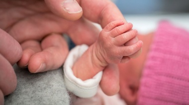 La Secretaría de Salud prepara actividades por la Semana del Prematuro