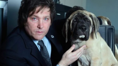 Se empieza a debatir la "Ley Conan" para agravar las penas contra el maltrato animal
