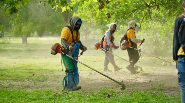 Provincia explicó por qué no siempre se recomienda fumigar