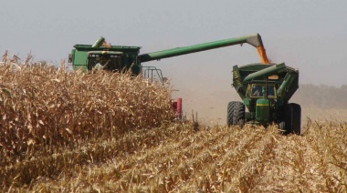 Ingresaron más de 25.000 millones de dólares por agroexportaciones en 2024