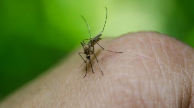 Son casi 67 mil los casos de dengue en la provincia y hay brotes en 54 distritos