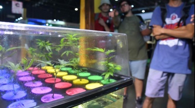 En la Expo Cannabis, pidieron terminar con la criminalización por uso y tenencia