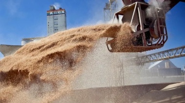 Las exportaciones de granos podrían superar un "hito histórico" de US$ 40.500 millones
