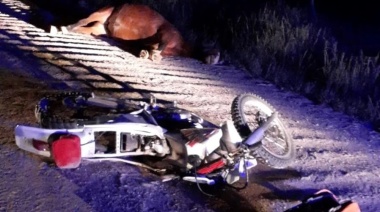 Falleció un hombre que estrelló su moto contra un caballo