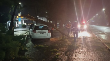 Por los fuertes vientos, un par de vehículos fueron aplastados por un árbol y un poste