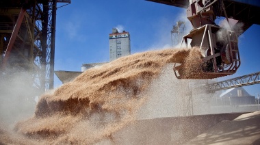 Las exportaciones del agro impulsaron al superávit comercial