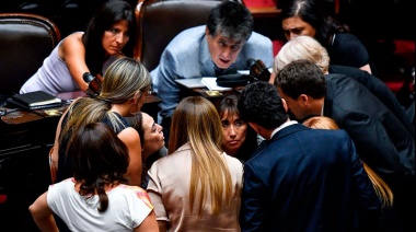 Los diputados siguen tratando la ley "Bases" en el Congreso