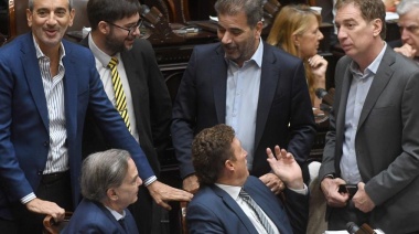 En Diputados, el Gobierno logró aprobar en general la Ley Ómnibus