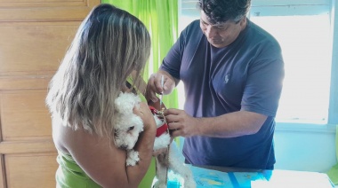 Un operativo gratuito vacunó contra la rabia a unas 90 mascotas de Juan N. Fernández