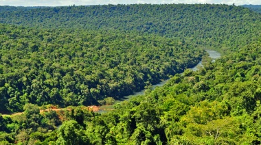 El Presupuesto 2025 llega con un fuerte recorte en el monto para preservación de bosques nativos