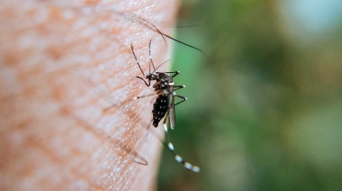 Provincia confirmó el primer caso de dengue sin antecedentes de viaje
