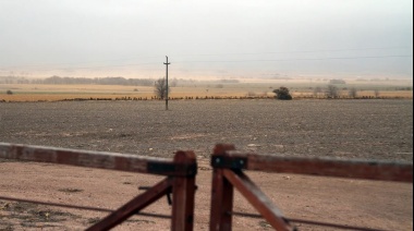 El mercado inmobiliario rural alcanzó la actividad más alta en una década