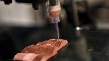 Alternativas a la carne: una alimentación menos contaminante para el futuro cercano