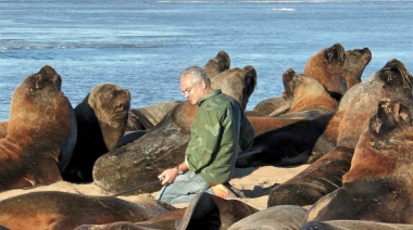 Proteccionista local hizo un descargo acerca de la situación de la colonia de lobos marinos