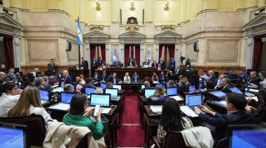 El Senado rechazó el DNU que otorgó fondos a la SIDE y aprobó el financiamiento universitario