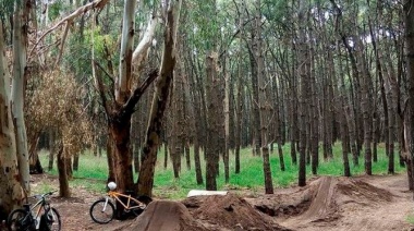 BMX: Fuerte malestar de freestylers por la destrucción de un bikepark autogestionado