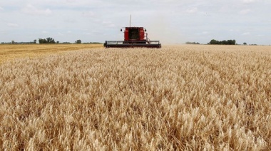 Las lluvias mejoraron las perspectivas del campo en toda la provincia