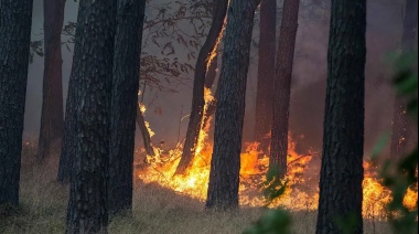 Desde Guardaparques piden tener mucha precaución para evitar incendios forestales