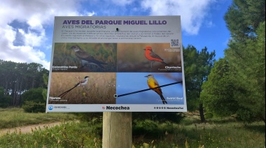 Para promover los paseos por el Parque Miguel Lillo, armaron un "Sendero de aves"