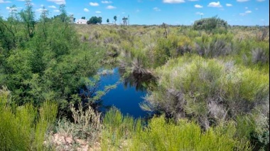 Ambientalistas advierten que se puede producir otro derrame de petróleo en Río Negro